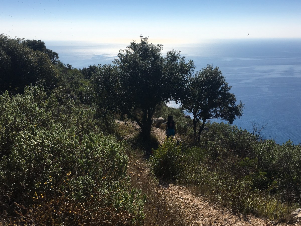 Eze 8km hike plus&nbsp;lunch