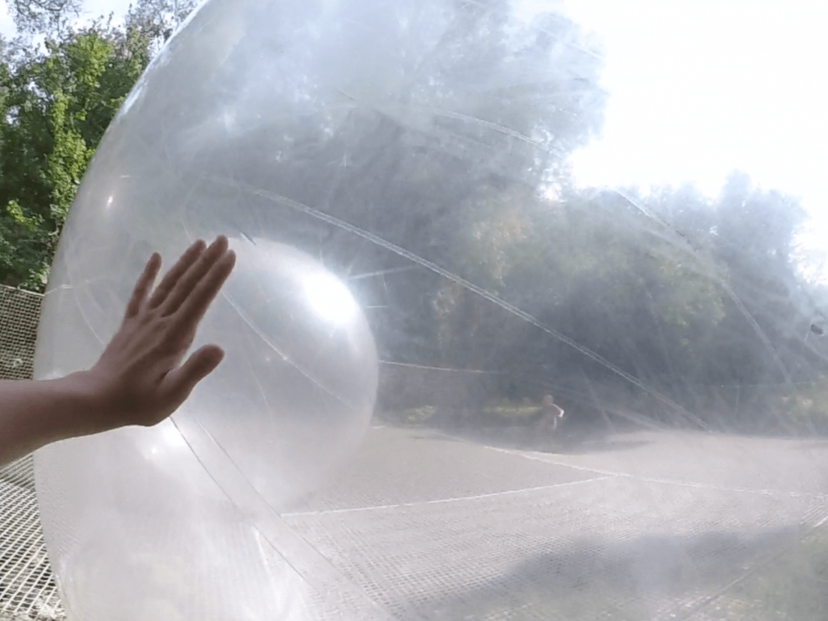 Le Bois des&nbsp;Lutins